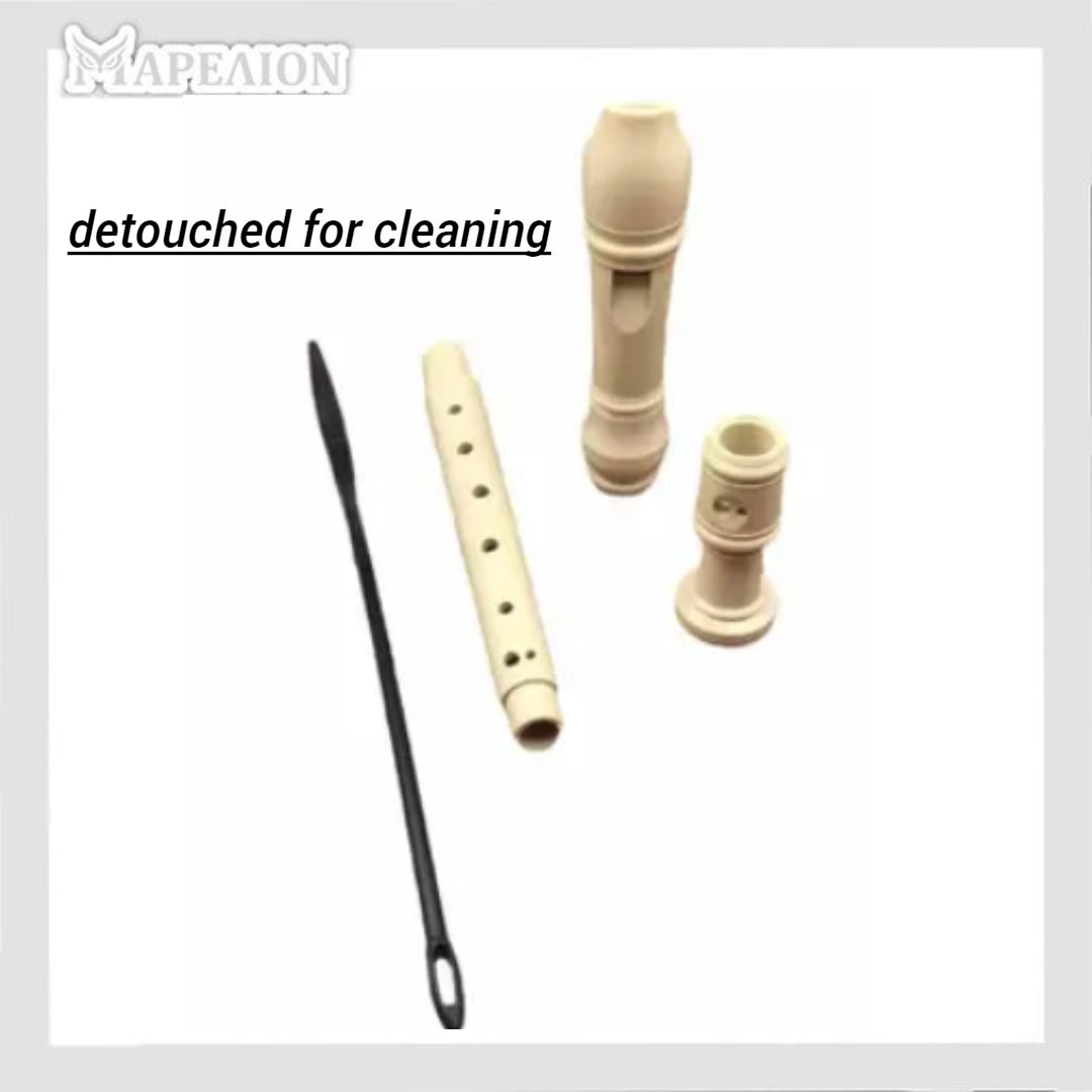 Αυλός Music Recorder Flute Soprano for School - Φλογέρα Σχολική, Σχολικός Αυλός